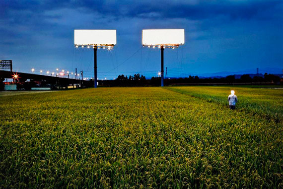 У Чжэн-чжа, из серии «Красоты Тайваня» — «Рекламные щиты и рисовые поля»