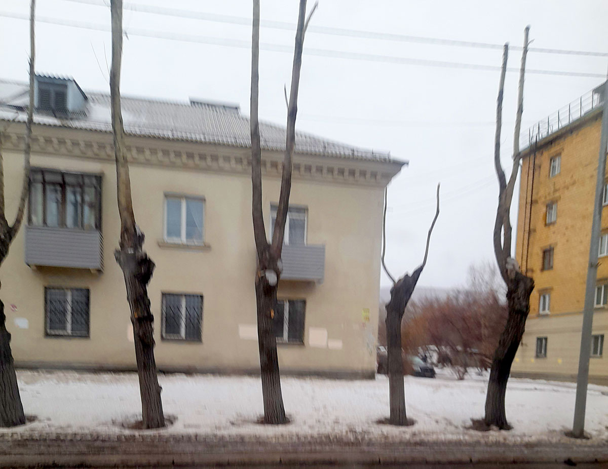 Кажется, что вот это дерево на улице Свердловской, которое меньше других, тянет руки вверх в мольбе